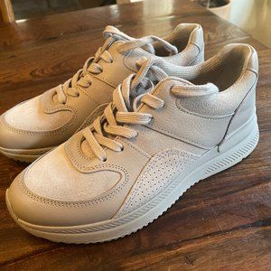 Grey Everlane Sneakers